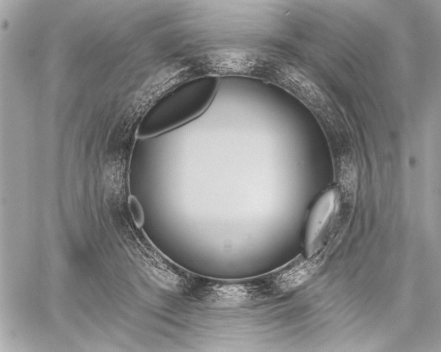 X0000060240409200510281124