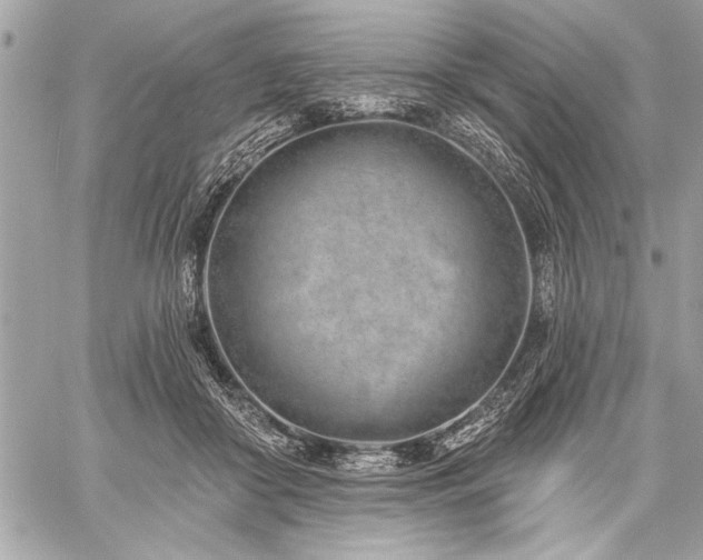 X0000060240410200510281124