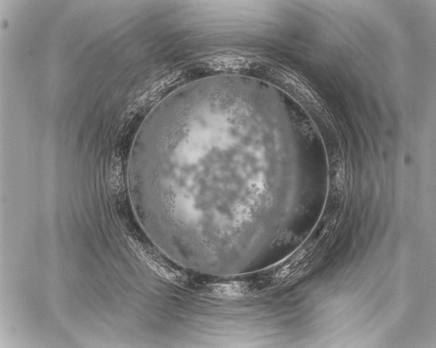 X0000060240411200510281124