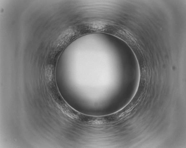 X0000060240412200510281124