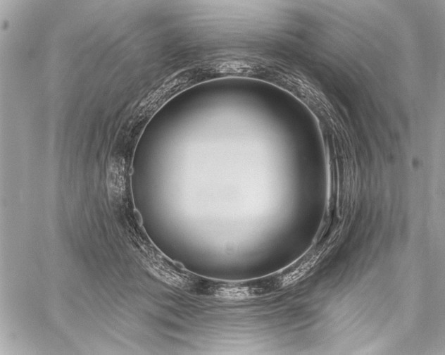 X0000060240413200510281124