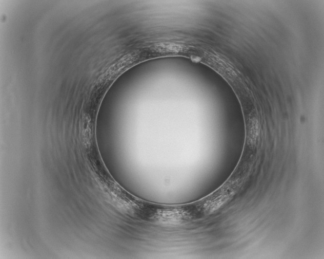 X0000060240414200510281124