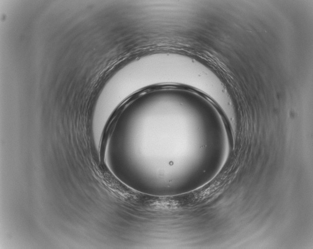 X0000060240415200510281124