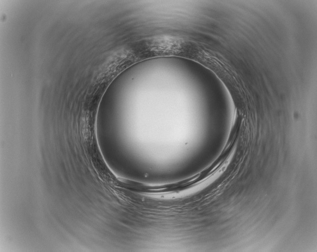 X0000060240416200510281124