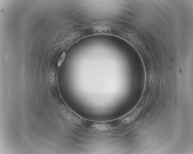 X0000060240417200510281124