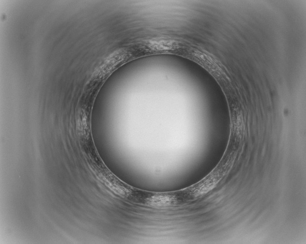 X0000060240418200510281124