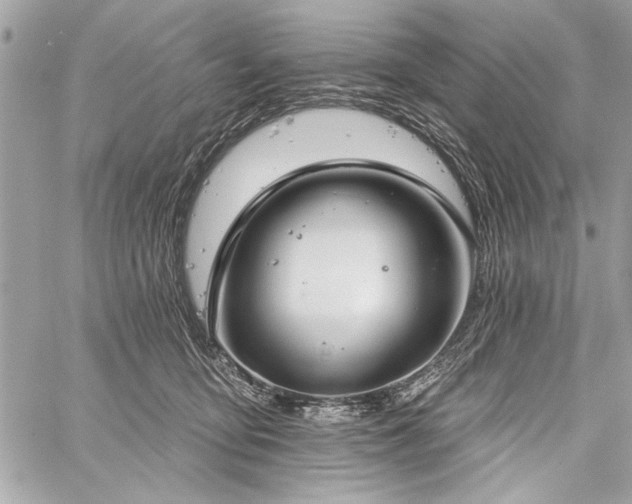 X0000060240419200510281124