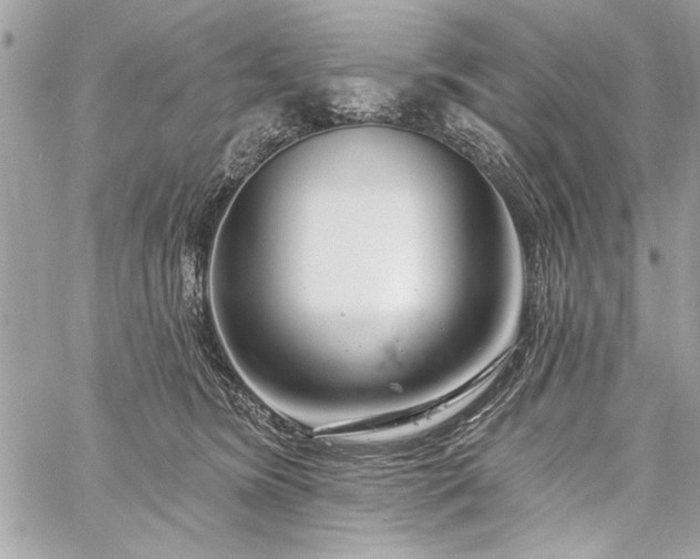 X0000060240420200510281124