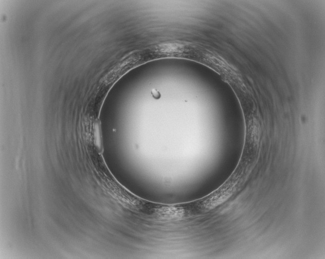 X0000060240421200510281124