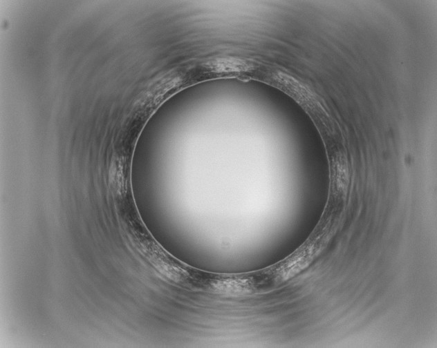 X0000060240422200510281124