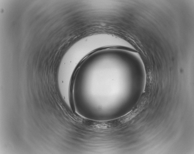 X0000060240423200510281124