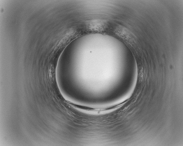 X0000060240424200510281124