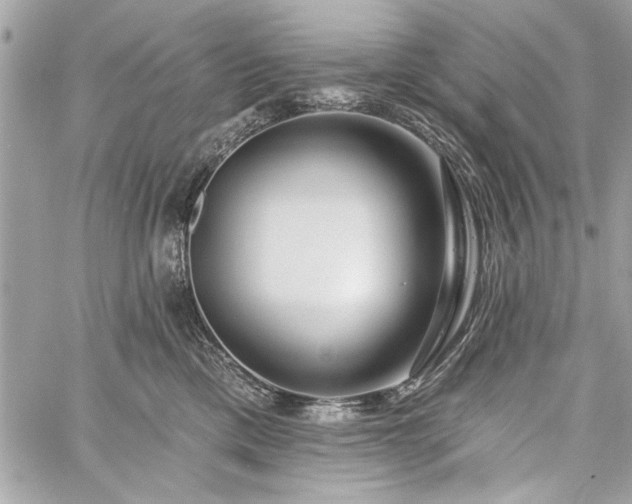 X0000060240425200510281124