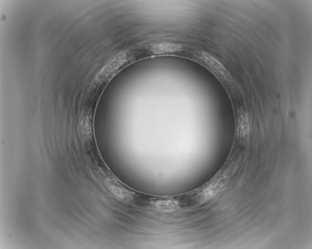 X0000060240426200510281124