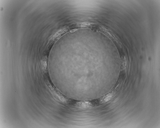 X0000060240427200510281124