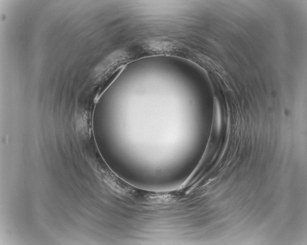 X0000060240428200510281124