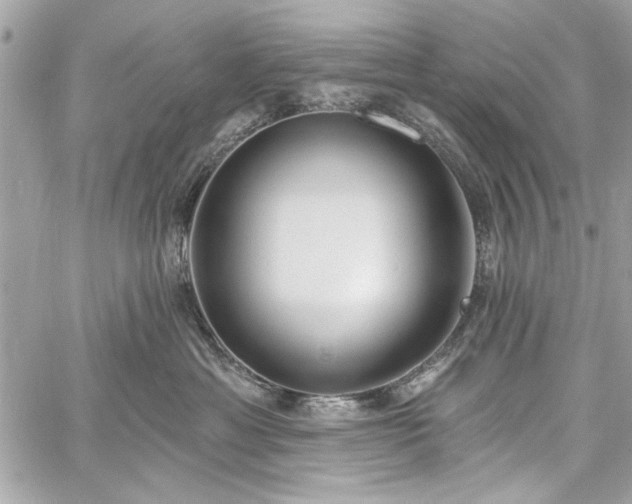 X0000060240429200510281124