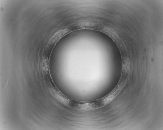 X0000060240430200510281124