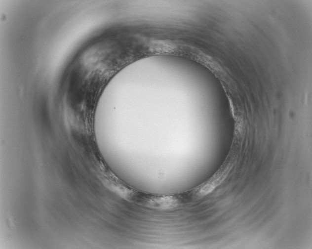 X0000060240431200510281124