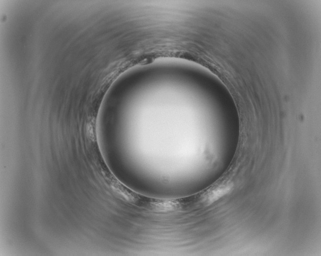 X0000060240432200510281124