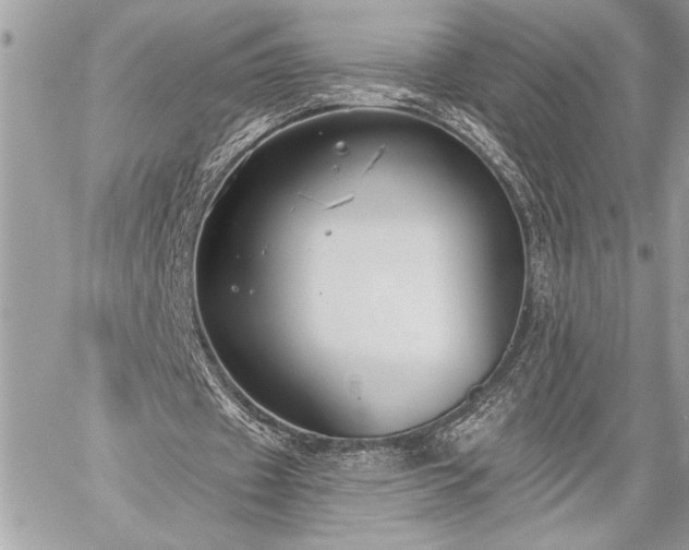 X0000060240433200510281123