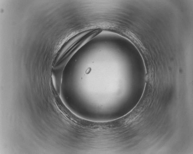 X0000060240434200510281123