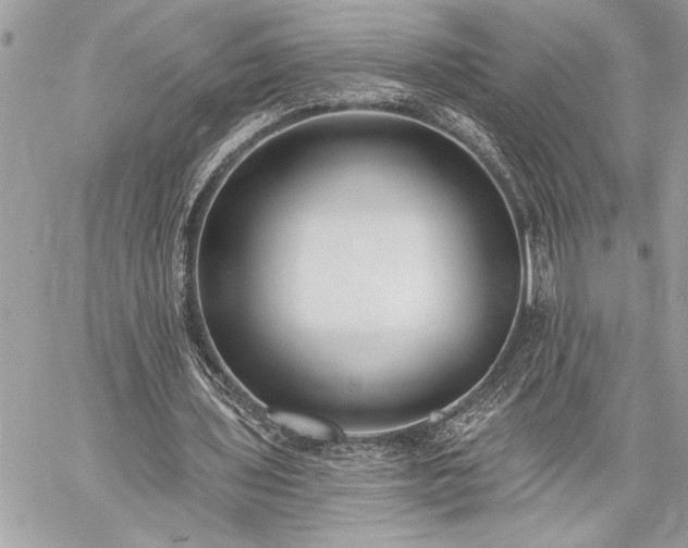 X0000060240435200510281123