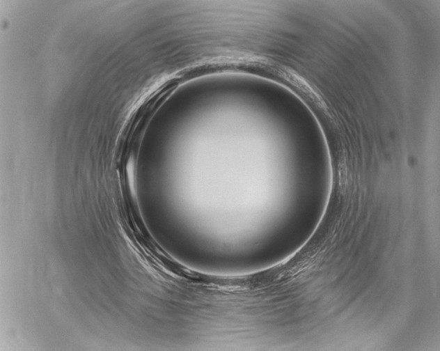 X0000060240436200510281123