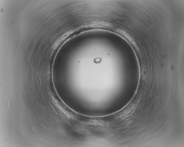 X0000060240437200510281123