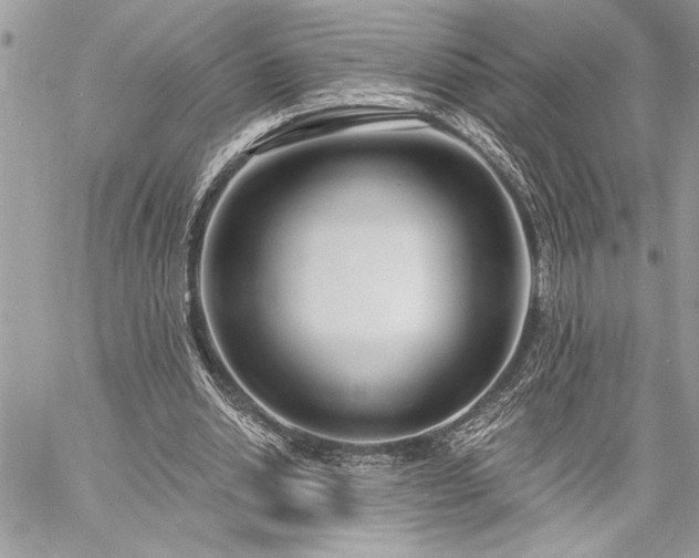 X0000060240438200510281123