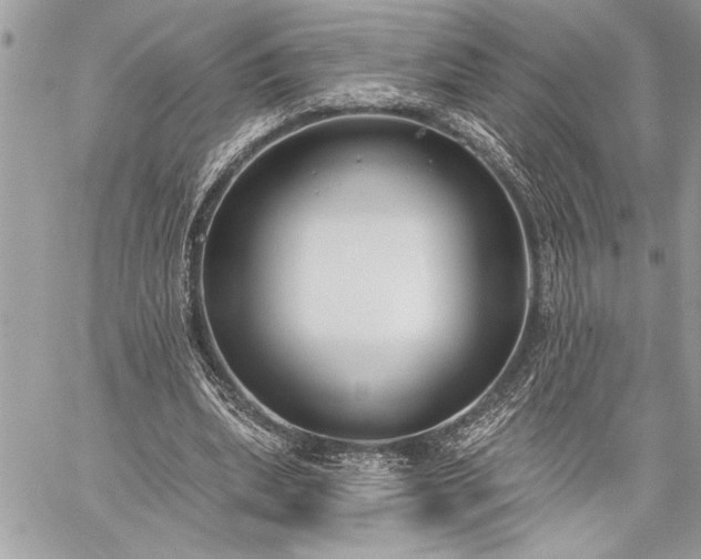 X0000060240439200510281123