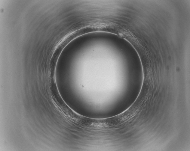 X0000060240440200510281123