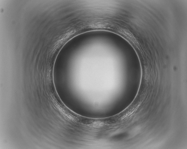 X0000060240441200510281123