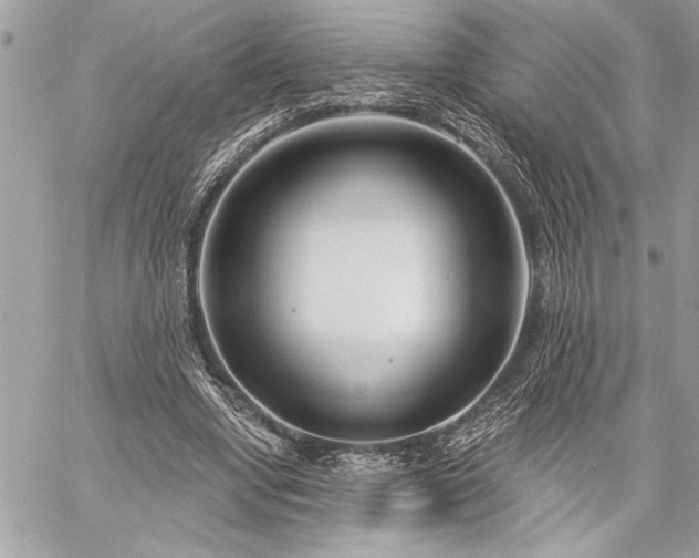 X0000060240442200510281123