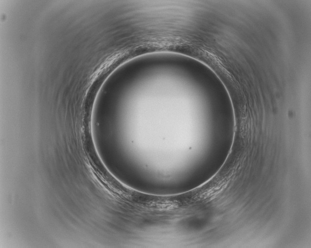 X0000060240443200510281123