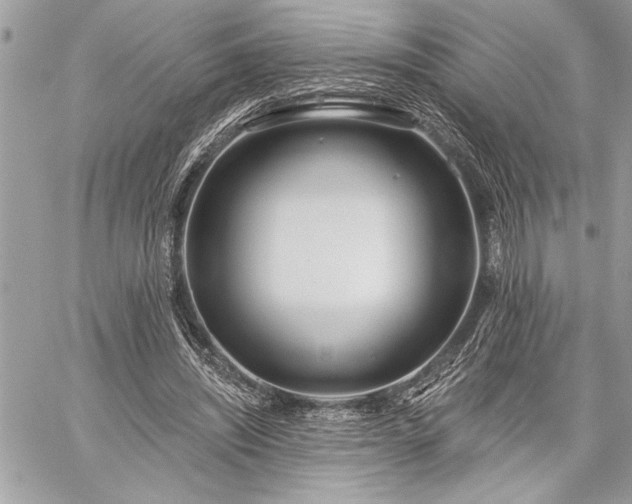 X0000060240444200510281123