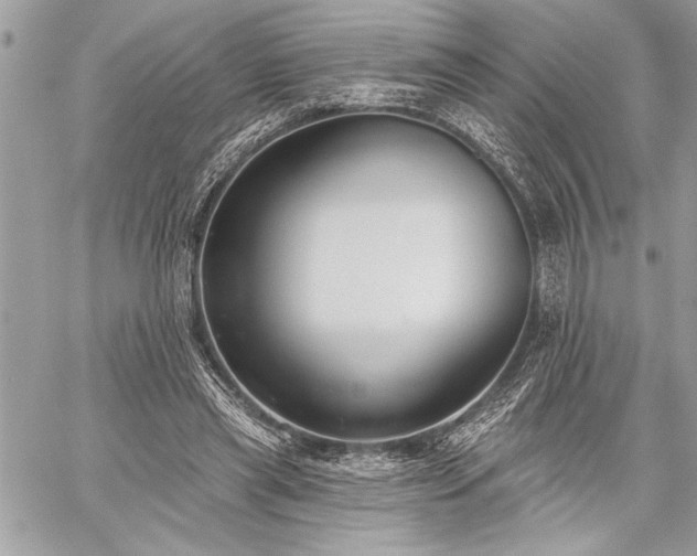 X0000060240445200510281123