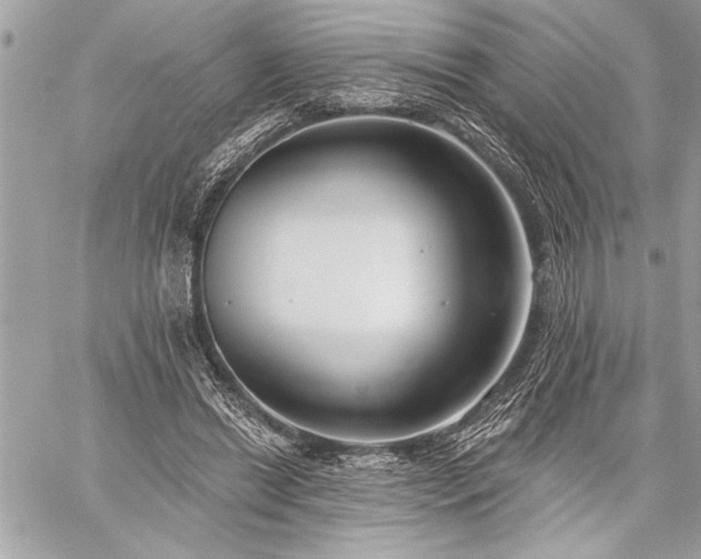 X0000060240446200510281123