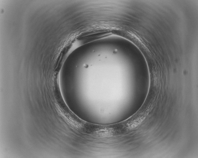 X0000060240447200510281123