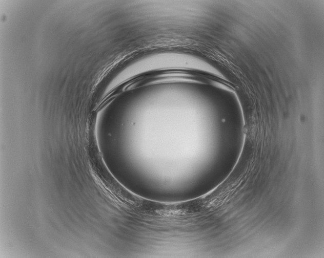 X0000060240448200510281123