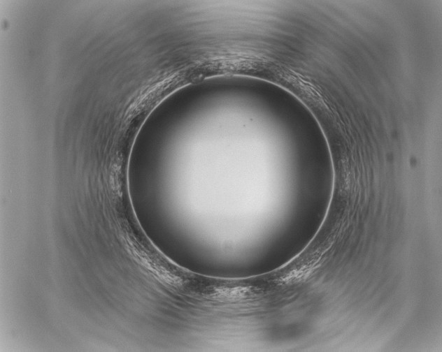 X0000060240450200510281123