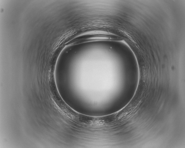 X0000060240451200510281123