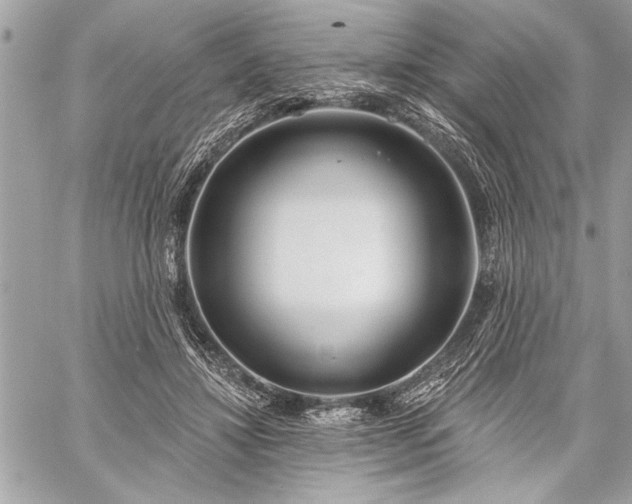 X0000060240452200510281123