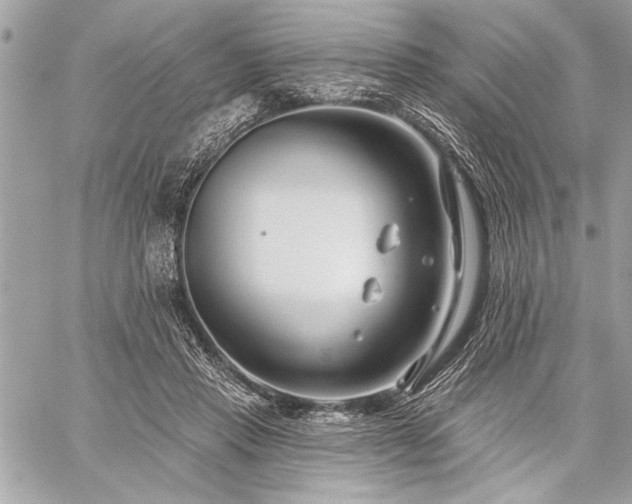 X0000060240453200510281123