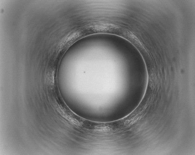 X0000060240454200510281123