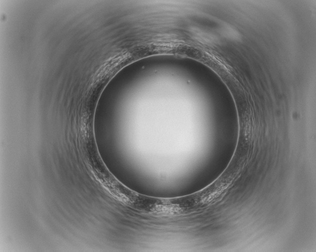 X0000060240455200510281123