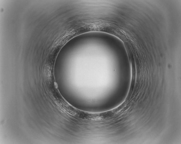 X0000060240456200510281123