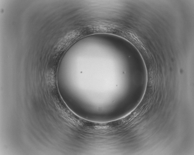 X0000060240457200510281123