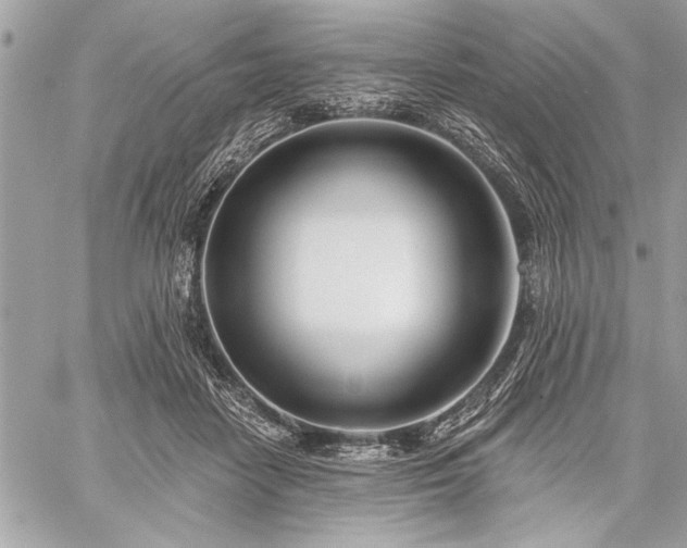 X0000060240458200510281123