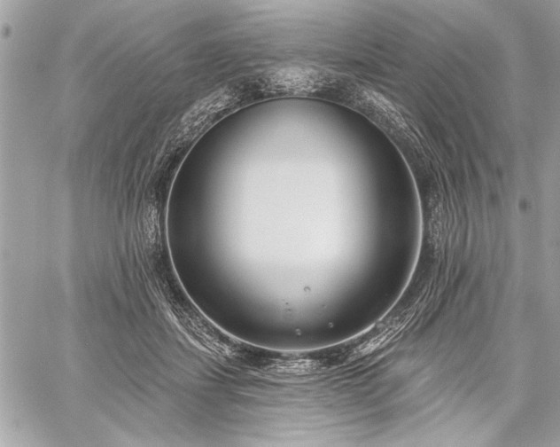 X0000060240459200510281123